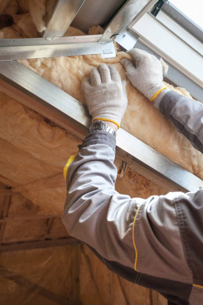 Best Cellulose Insulation  in Vassar College, NY