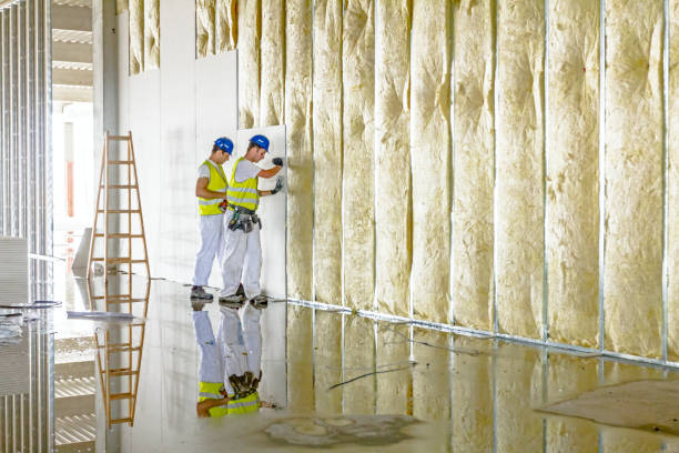 Best Insulation Repair Services  in Vassar College, NY